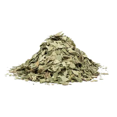 BŘÍZA LIST (Folium betulae) - bylina, 100g