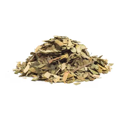 GINKGO LISTY - bylina, 500g