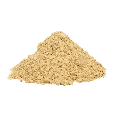 Mesquite BIO - prášek, 100g