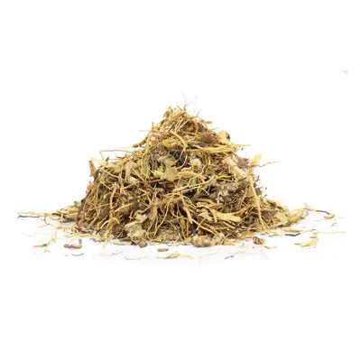 MARALÍ KOŘEN (Rhaponticum carthamoides) - bylina, 50g