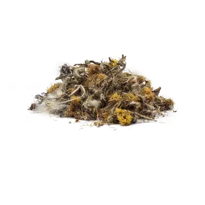 PODBĚL LÉKAŘSKÝ KVĚT BIO (Tussilago farfara) - bylina, 10g