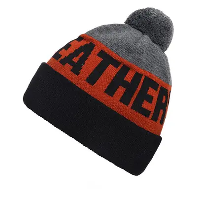 Horsefeathers Royce beanie multicolor