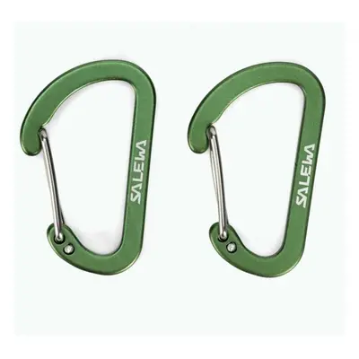 Salewa Flat Wiregate Carabiner zelená