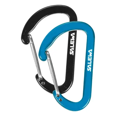 Salewa Flat Wiregate Carabiner šedá