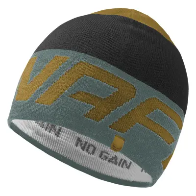 Dynafit RADICAL BEANIE multicolor