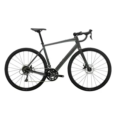 Trek Domane AL 2 Gen 4 2024 šedá