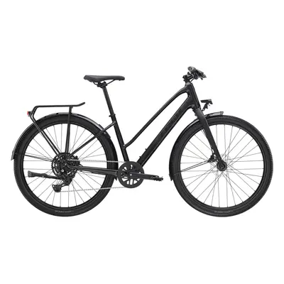 Trek Dual Sport 2 Gen 5 Stagger 2024 šedá