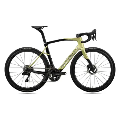 Pinarello X series - X9 | SHIMANO Dura Ace Di2 2x12 DB 2024 zlatá/černá