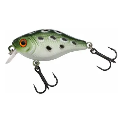 Berkley Wobler Pulse Fry Shallow 3,8cm - Frog