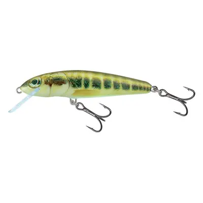 Salmo Wobler Minnow Sinking 7cm - Minnow