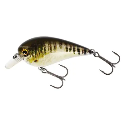 Westin Wobler BassBite 2.5 Squarebill Floating Real Minnow