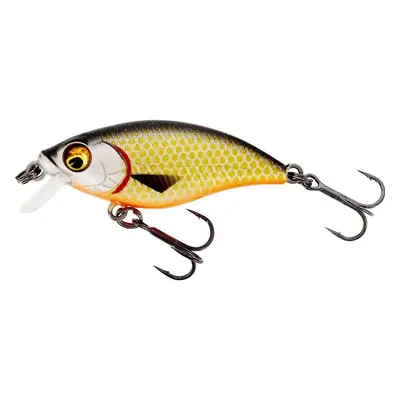 Westin Wobler BuzzBite SR Crankbait Low Floating Official Roach