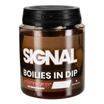 Starbaits Boilies v dipu Signal 150g