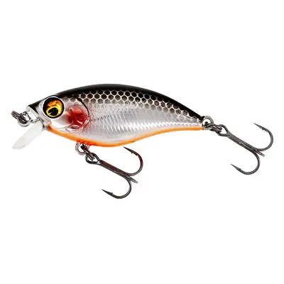 Westin Wobler BuzzBite SR Crankbait 4cm 4g Plovoucí - Steel Sardine