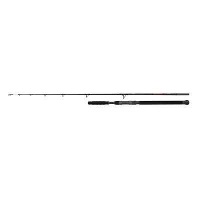 Shimano Prut Beastmaster AX Catfish Spinning Vertical 1,85m 200g