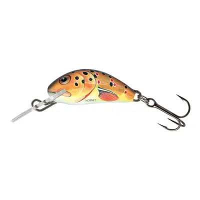 Salmo Wobler Hornet Sinking 3,5cm - Trout