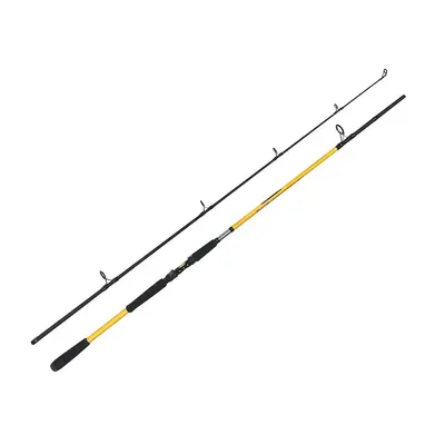 Zfish Prut Kodiak 2,40m 100-250g