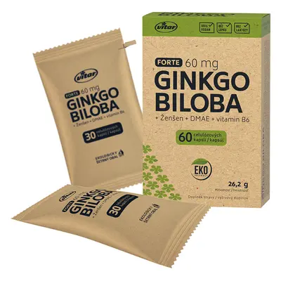 Vitar Ginkgo biloba + DMAE + vitamín B6 EKO 60 kapslí