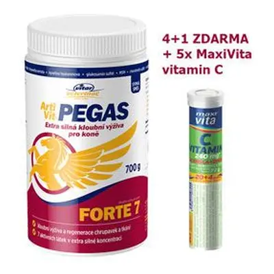 Vitar Veterinae Artivit Pegas forte 7 prášek 700g