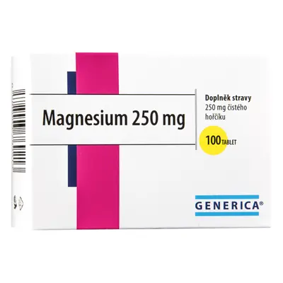 Magnesium 250 Generica Tbl. 100