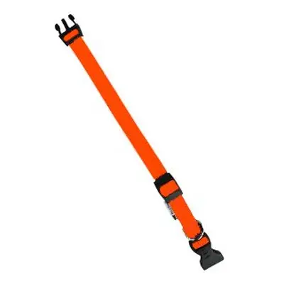 Obojek nylon Club C 56cmx20mm oranžový Fp