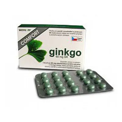 Ginkgo Comfort 60mg Sr Tbl.60