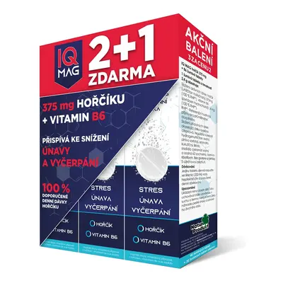 Iq Mag 379mg Hořčíku+vit.b6 šum.tbl.40+20