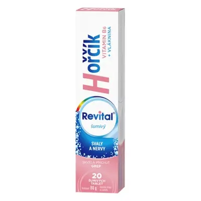 Revital Hořčík + vitamín B6 20 šumivých tablet