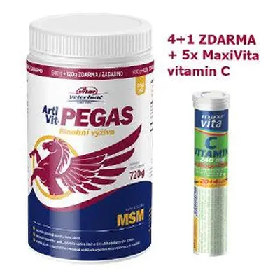 Vitar Veterinae Artivit Pegas MSM 720g