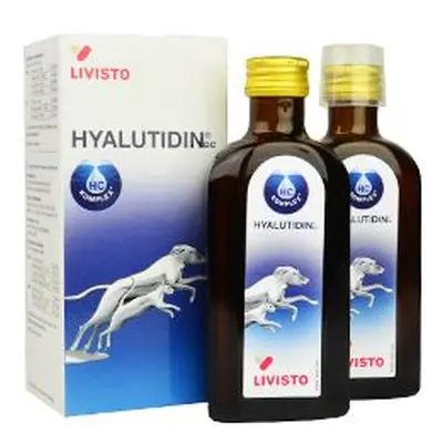 Hyalutidin Dc Pro Psy A Kočky 2x125ml