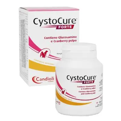 Cystocure Forte 30tbl