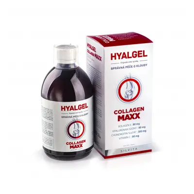 Hyalgel Collagen Maxx 500 Ml