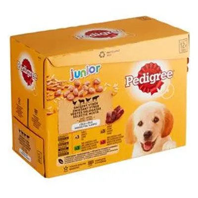 Pedigree kapsa junior masový výběr,rýže v želé 12x100g