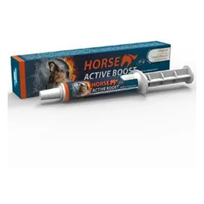 Horse Active Boost Perorální Pasta 1x20g