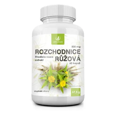 Allnature Rozchodnice rhodiola rosea 500mg 60 kapslí