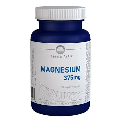 Magnesium Chelát + B6 Cps.60