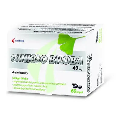 Ginkgo Biloba 40mg Cps.60