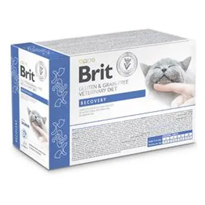 Brit Vd Cat Pouch Fillets In Gravy Recovery 12x85g