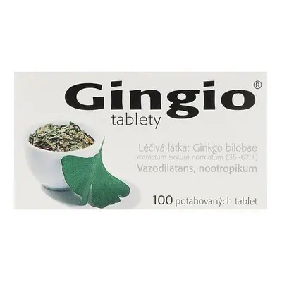 Gingio 40mg potahované tablety 100