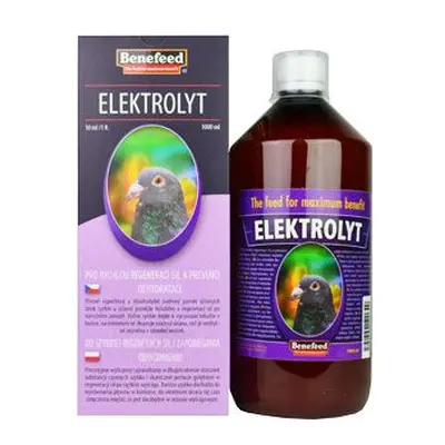 Elektrolyt H Holubi 1l