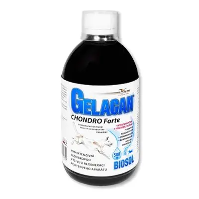 Gelacan Chondro Forte Biosol 500ml