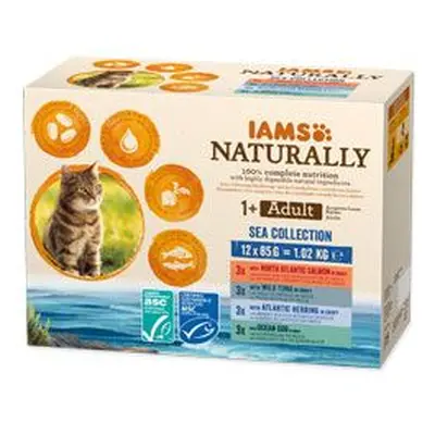 Iams Cat mořské maso v omáčce multipack 12x85g