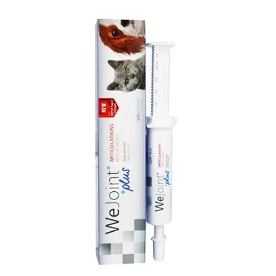 Wejoint Plus Paste 30ml