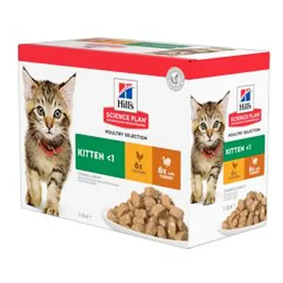 Hill S Fel. Sp Kitten Chicken&turkey Kapsa12x85g