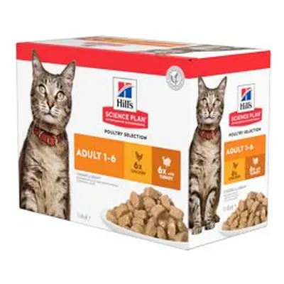 Hill S Fel. Sp Adult Chicken&turkey Kapsa 12x85g