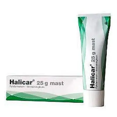 Halicar mast 25g