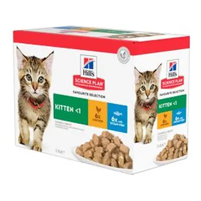 Hill S Fel. Sp Kitten Chicken&ocean Fish Kapsa 12x85g