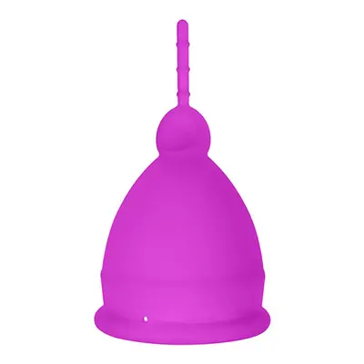 Liebe Menstrual Cup Pink Large