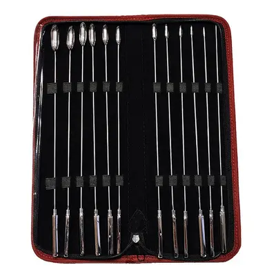 Rouge Stainless Steel 12 Piece Rosebud Urethral Kit