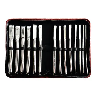 Rouge Stainless Steel 14 Piece Hegar Uterine Dilator Set